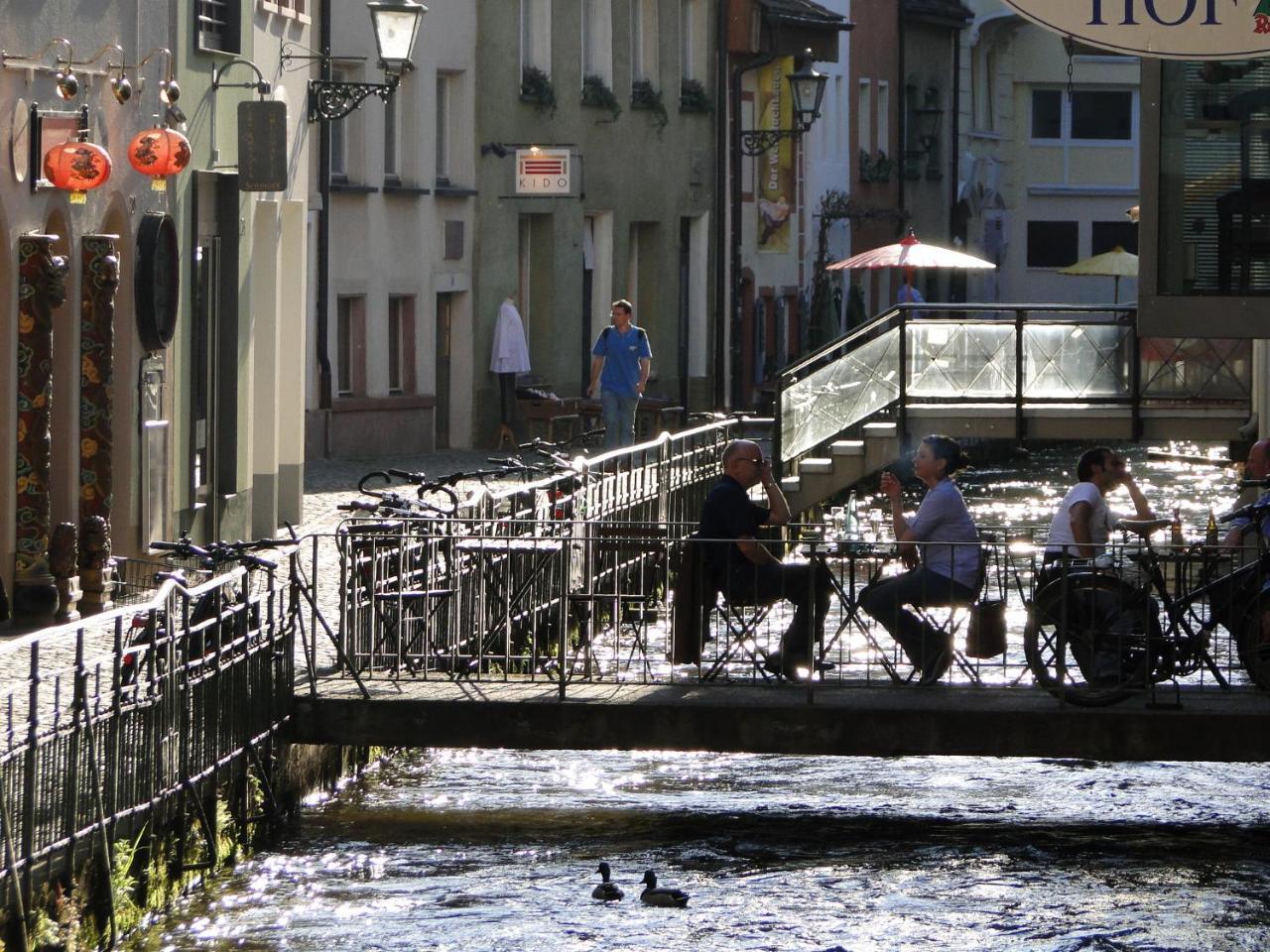 Cityappartment Am Stadttheater Freiburg im Breisgau Dış mekan fotoğraf